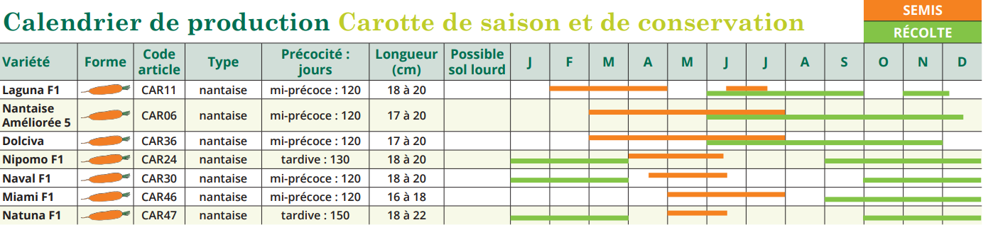 Agrosemens Jardin Graines Graine Semences Semence Bio Carotte Natuna F